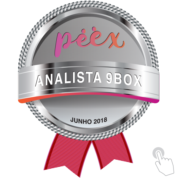 ANALISTA METODOLOGIA 9BOX