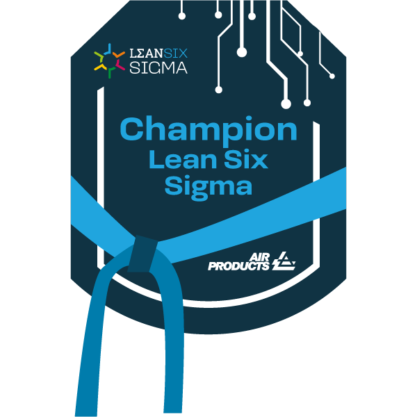 Champion Lean Six Sigma