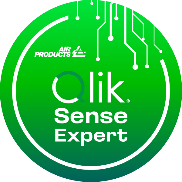 Qliksense Expert