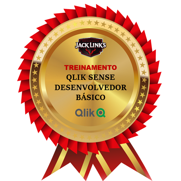 Qlik Sense Desenvolvedor Básico (BI)