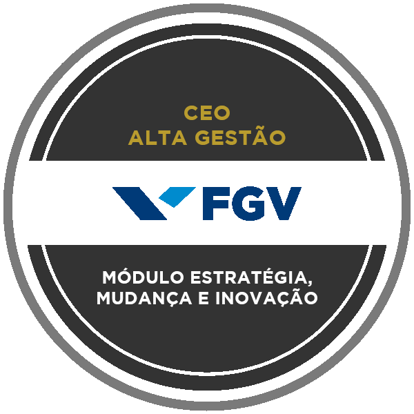 Módulo Estratégia, Mudança e Inovação – CEO FGV