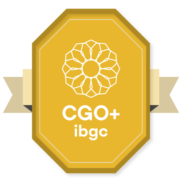 Certificação para Governance Officer Experiente (CGO Experiente IBGC)