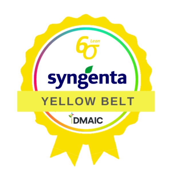 iDMAIC - IA Aplicada ao Lean Six Sigma | Yellow Belt