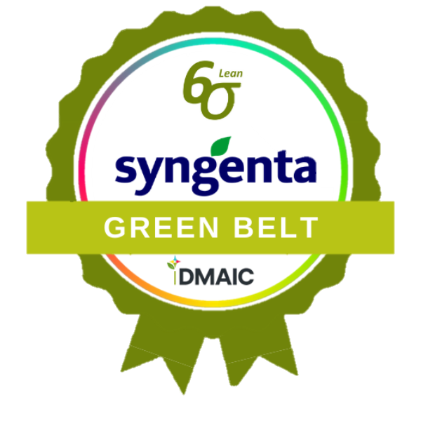 iDMAIC - IA Aplicada ao Lean Six Sigma | Green Belt
