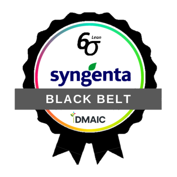 iDMAIC - IA Aplicada ao Lean Six Sigma | Black Belt