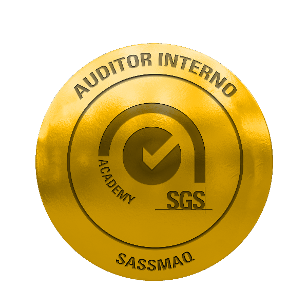 Auditor Interno SASSMAQ