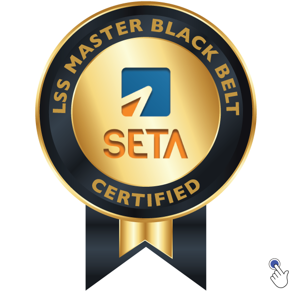 LSS MASTER BLACK BELT - CERTIFIED