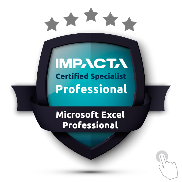 ICS Microsoft Excel Professional | Professional 