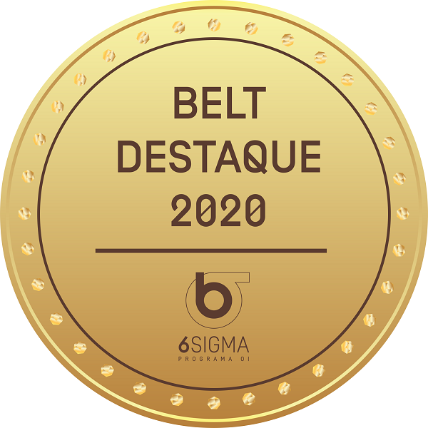 BELT DESTAQUE 2020 - 6 SIGMA