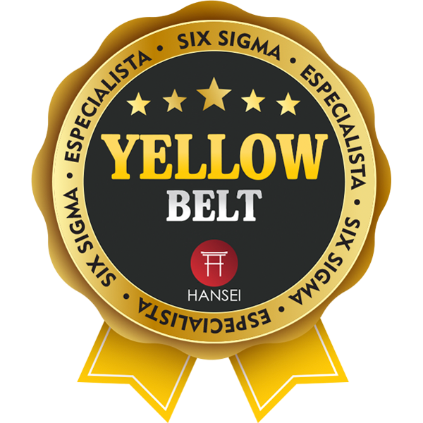 LEAN SIX SIGMA YELLOW BELT - ESPECIALISTA (TURMA YB01HA)