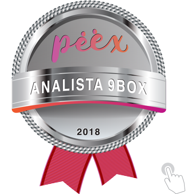 Analista 9BOX Online