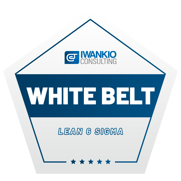 WHITE BELT LEAN 6 SIGMA - FORMAÇÃO IWANKIO CONSULTING