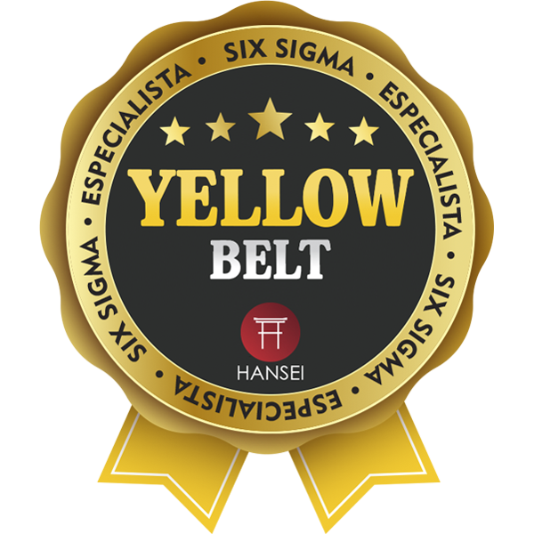 LEAN SIX SIGMA YELLOW BELT - ESPECIALISTA