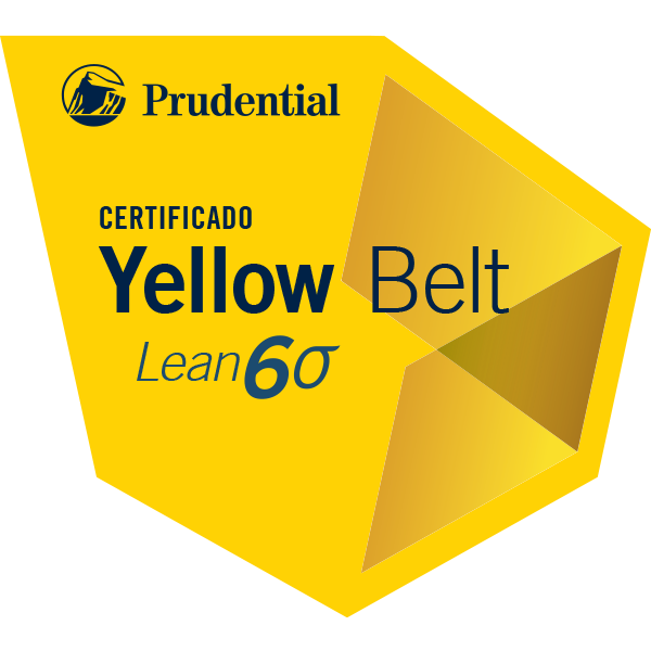 YELLOW BELT