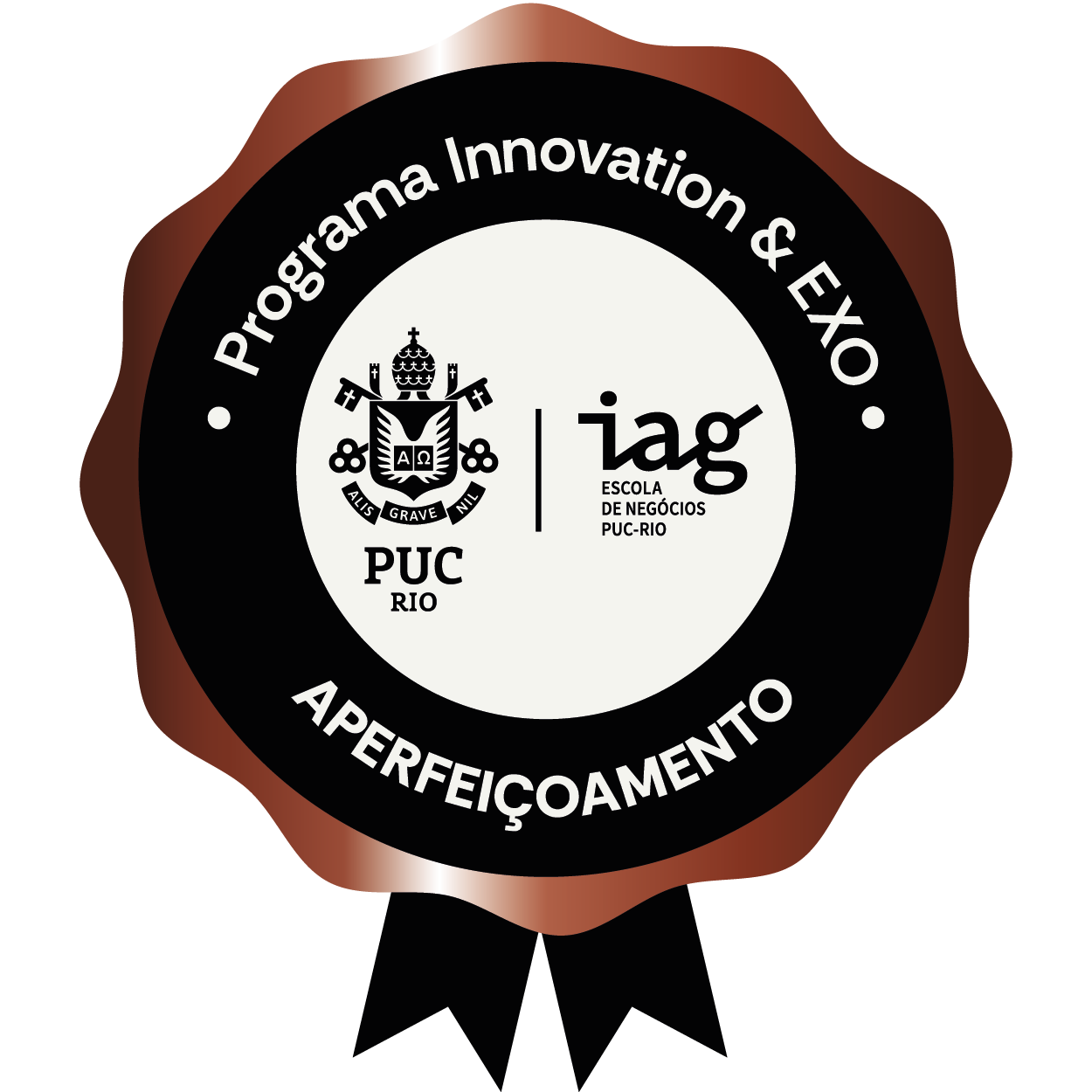 PROGRAMA INNOVATION & EXO: INOVAÇÃO PARA ORGANIZAÇÕES E LÍDERES DO FUTURO