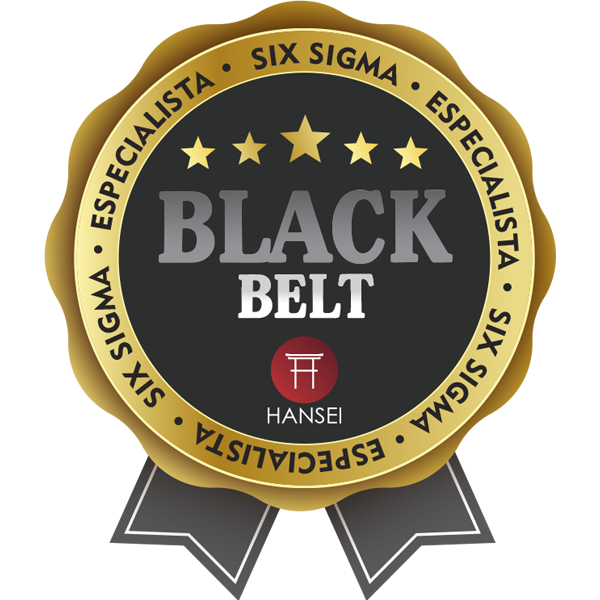 LEAN SIX SIGMA BLACK BELT - ESPECIALISTA