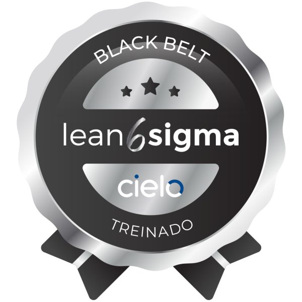 LEAN SIX SIGMA BLACK BELT - TREINADO