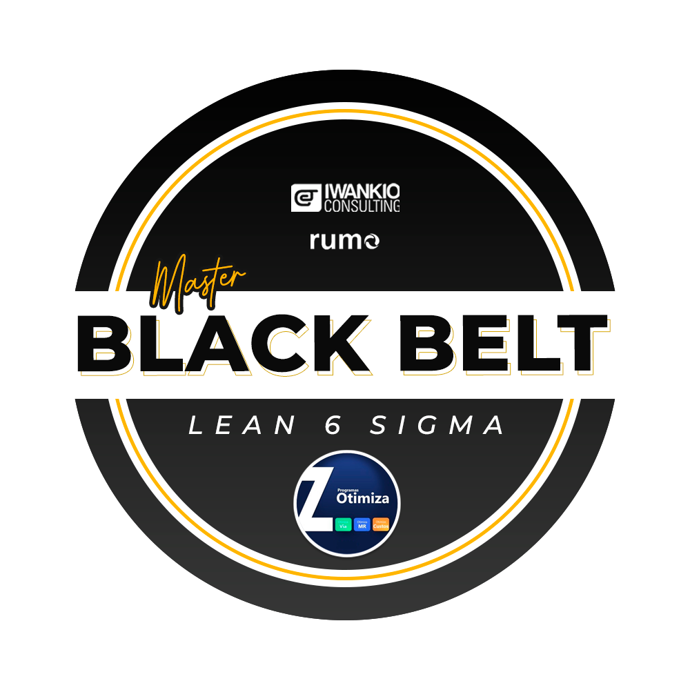 Master Black Belt Lean 6 Sigma