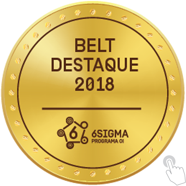 BELT DESTAQUE 2018 - 6 SIGMA