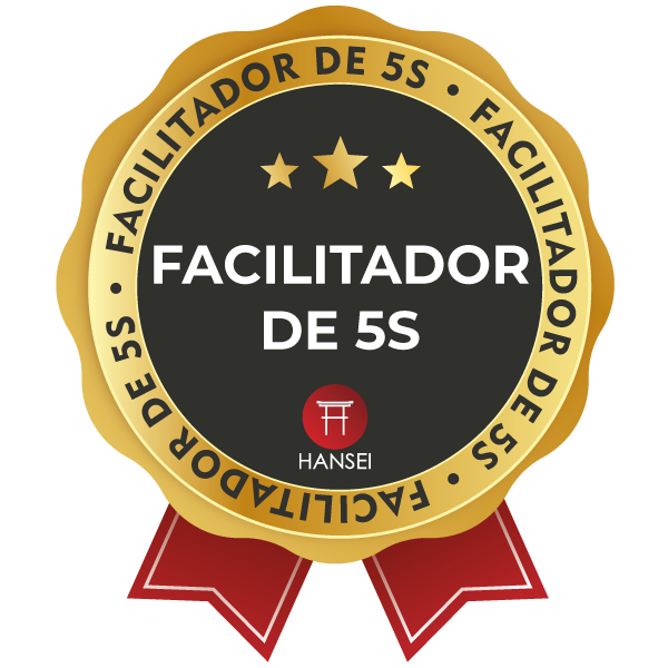 FACILITADOR DE 5S