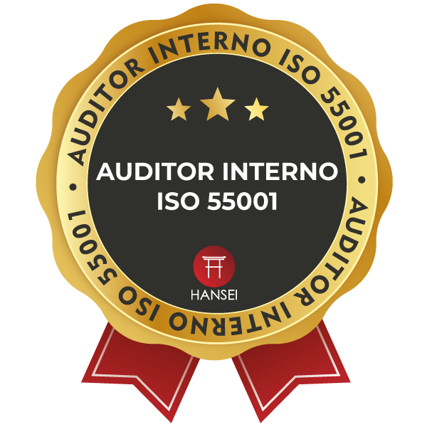 AUDITOR INTERNO ISO 55001