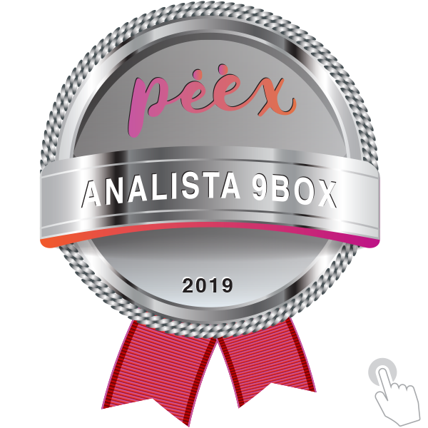 ANALISTA METODOLOGIA 9BOX - 2022