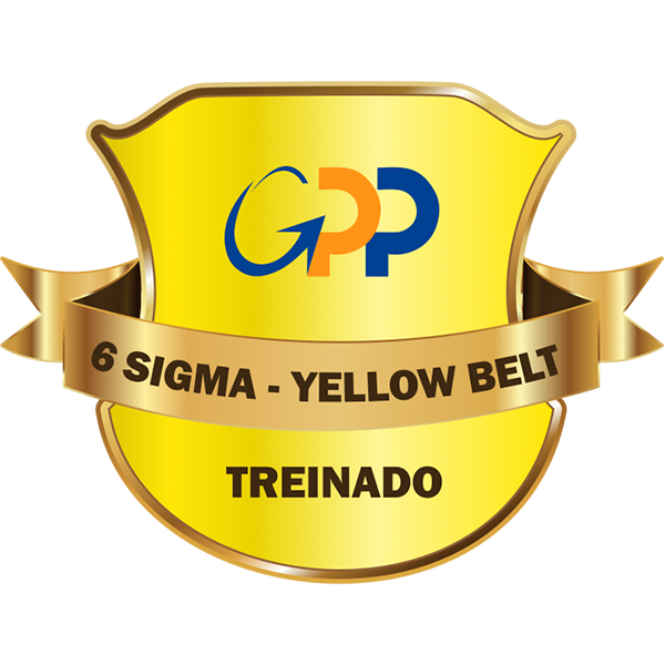 YELLOW BELT SEIS SIGMA - TREINADO