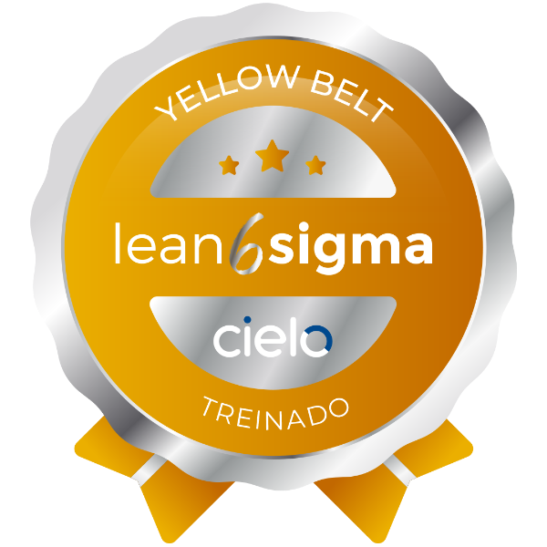 LEAN SIX SIGMA YELLOW BELT - TREINADO