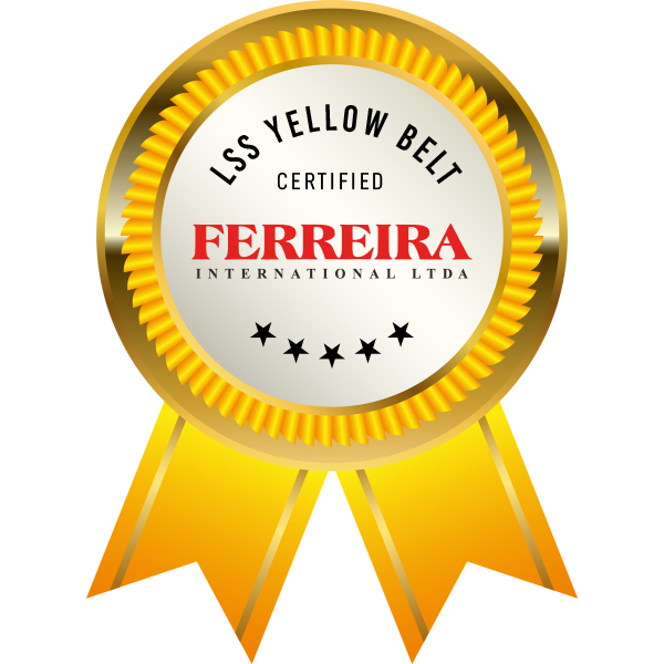 LSS YELLOW BELT – CERTIFIED - FERREIRA