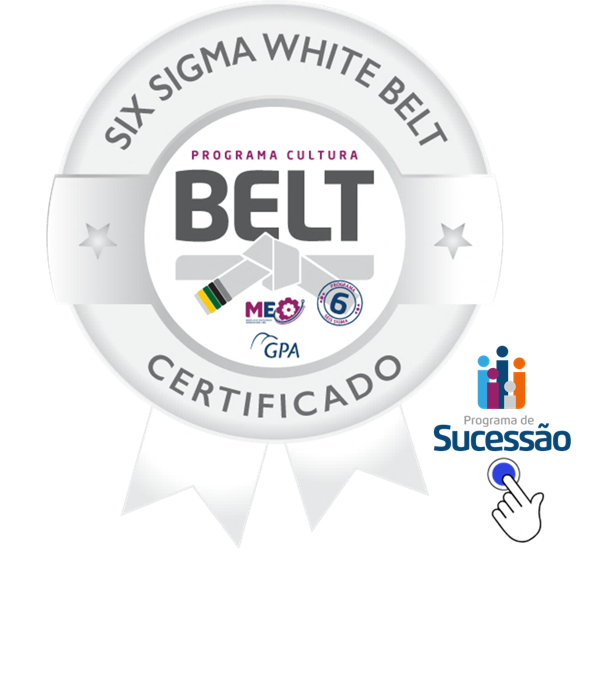 SIX SIGMA WHITE BELT - SUCESSÃO GPA