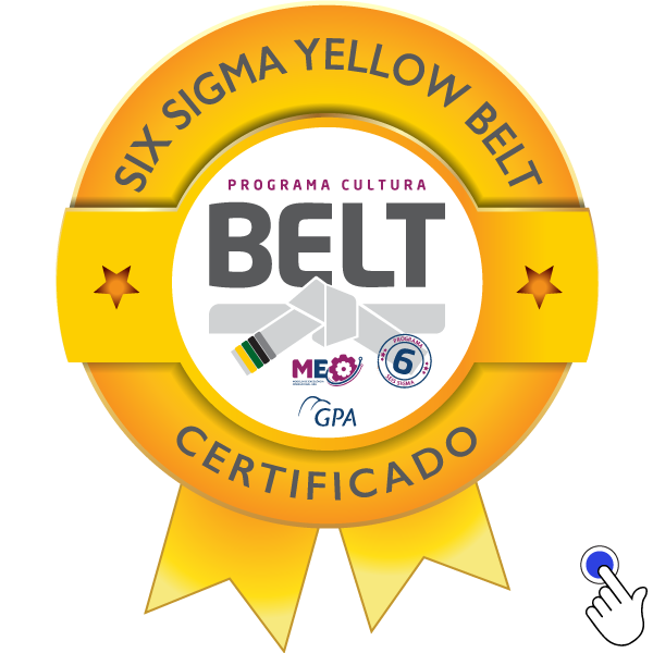 SIX SIGMA YELLOW BELT - 2022