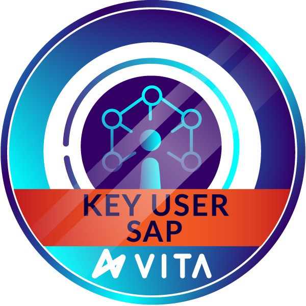 KEY USER - SAP