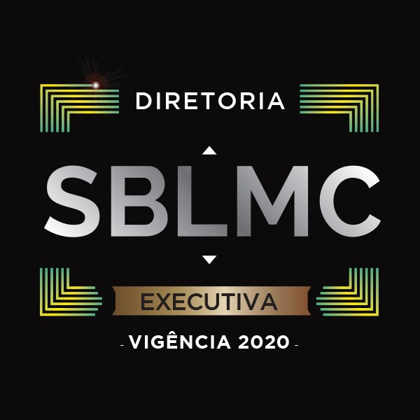 DIRETORIA EXECUTIVA - 2020