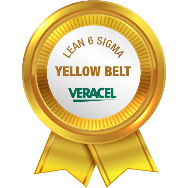 LEAN 6 SIGMA YELLOW BELT