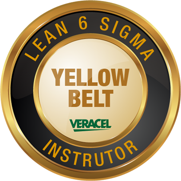 INSTRUTOR INTERNO YELLOW BELT