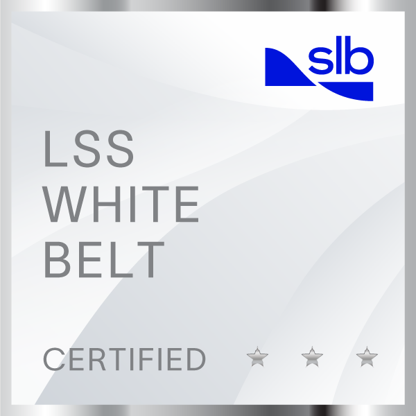 LSS WHITE BELT CERTIFIED