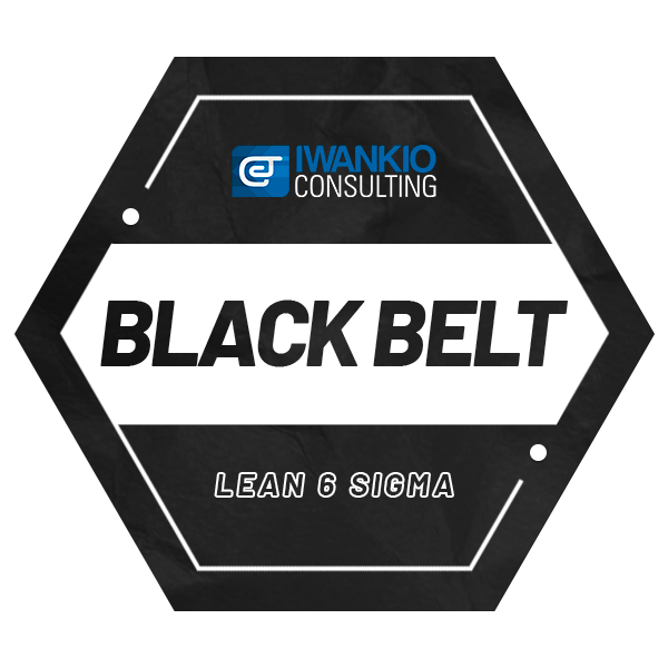 Black Belt Lean Six Sigma