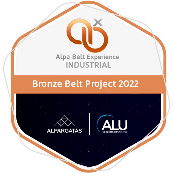 BRONZE BELT PROJECT 2022 (industrial)