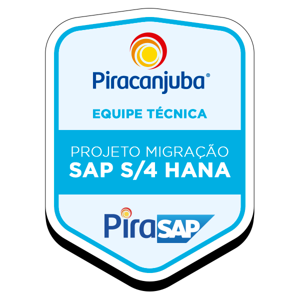 Equipe Técnica - Projeto Migração SAP S/4 Hana