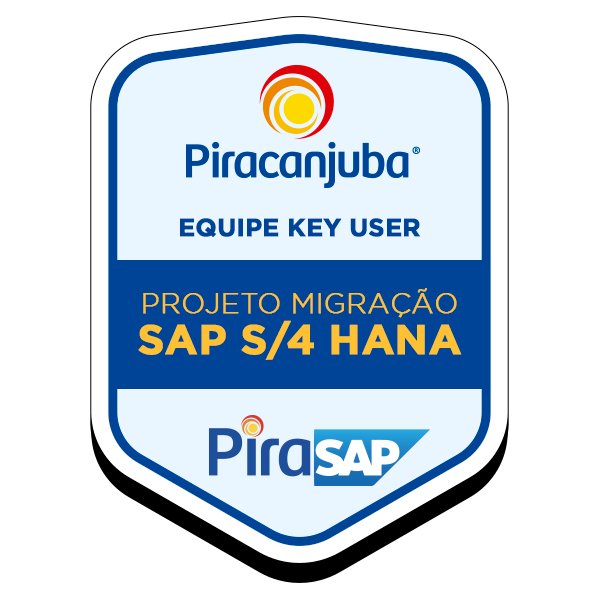 Equipe Key User - Projeto Migração SAP S/4 Hana