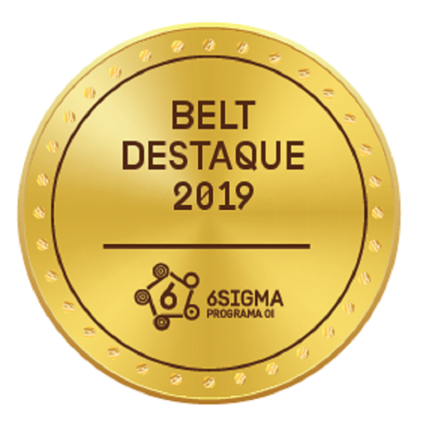 BELT DESTAQUE 2019 - 6 SIGMA