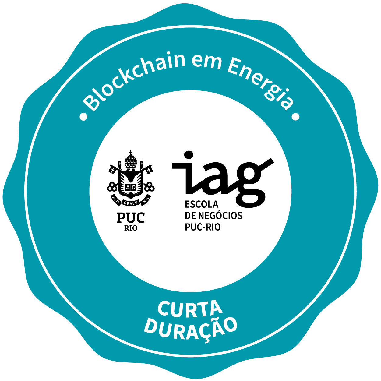 BLOCKCHAIN EM ENERGIA