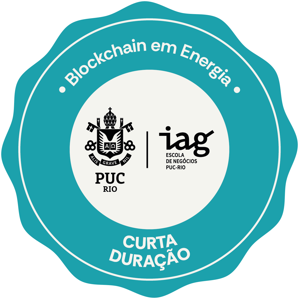 BLOCKCHAIN EM ENERGIA