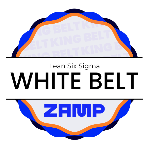 CERTIFICAÇÃO KING BELT - LEAN SIX SIGMA WHITE BELT