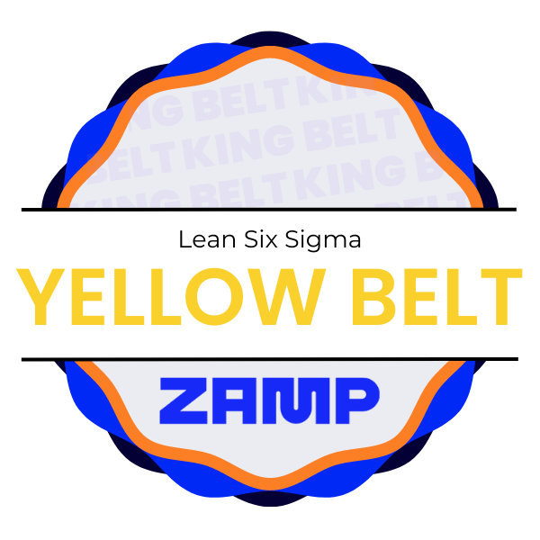 CERTIFICAÇÃO KING BELT - LEAN SIX SIGMA YELLOW BELT