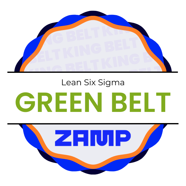 CERTIFICAÇÃO KING BELT - LEAN SIX SIGMA GREEN BELT