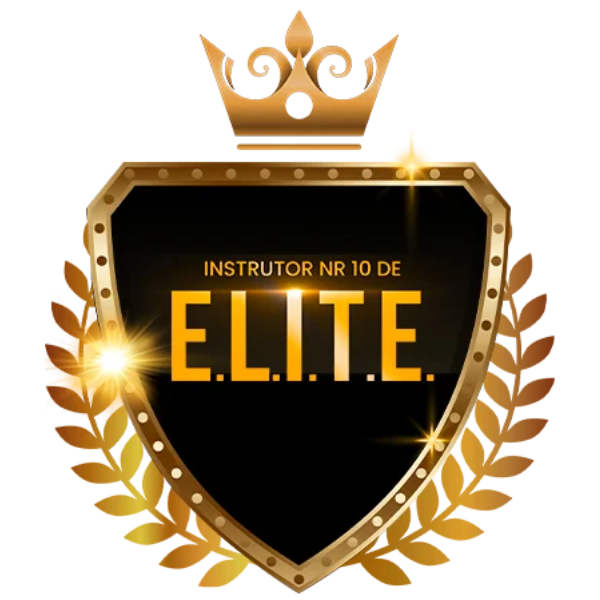 INSTRUTOR NR 10 DE ELITE