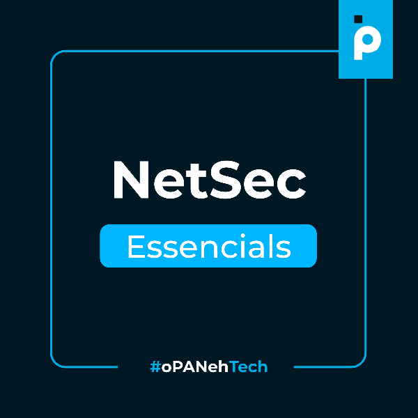 NetSec Essencials