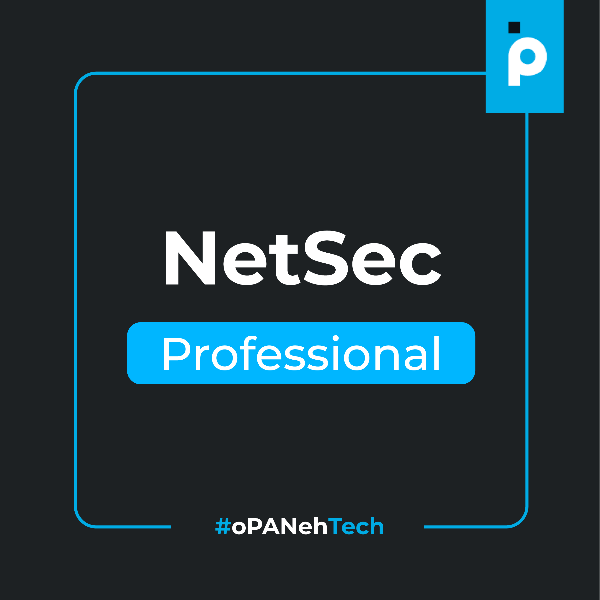 Badge: NetSec Professional