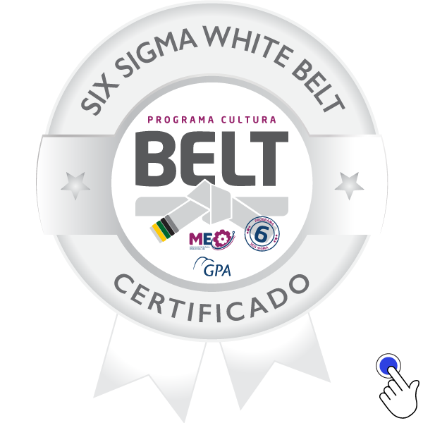 SIX SIGMA WHITE BELT - COMERCIAL